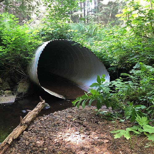 Culvert Before