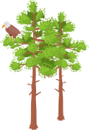 Fastforestry Icon