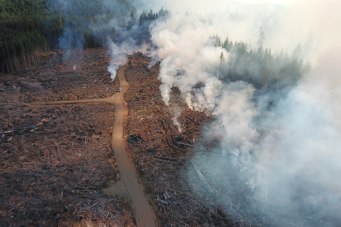 Broadcast Burn Used to Prevent Wildfire
