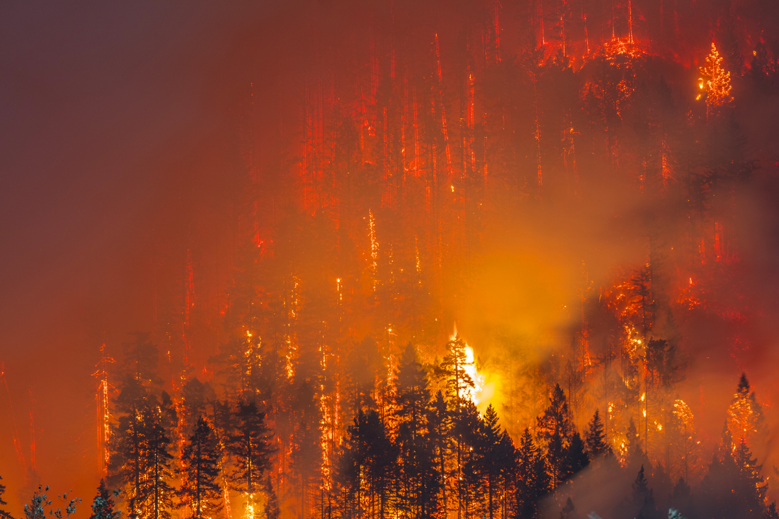 Oregon Forest Fire