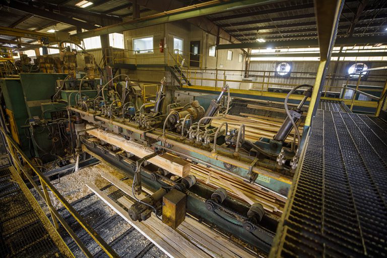 How Trees Become Lumber | Rayonier Stories